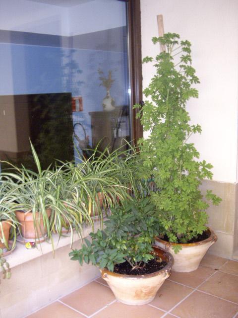 Casa Rural Rojanda Elciego Exterior photo